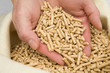 Hands scooping compressed wood pellets - renewable energy