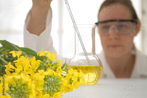 Foto: Laboratory worker with canola flowers - biofuels concept Laboratory worker with canola flowers - biofuels concept