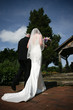 bride white wedding dress and gown bride white wedding dress and gown
