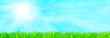 Green fresh grass on blue sky panorama. Green fresh grass on blue sky panorama.