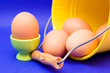 egg in green eggcup  isolated on blue. easter