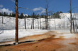 Photo: Angel terrace, Yellowstone National Park Angel terrace, Yellowstone National Park