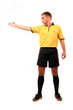 football judge