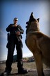 Dog Training
