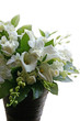 white-flowers