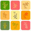 set of flower background different color set of flower background different color
