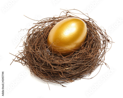 Photo: Gold egg Gold egg