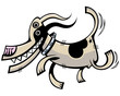 dog dog