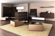 kitchen and living room