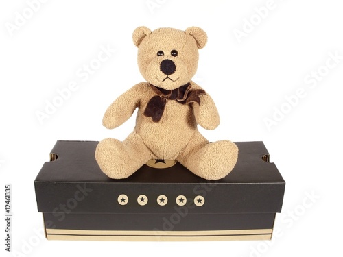Foto: Teddy auf der Kiste Teddy auf der Kiste