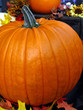 pumpkin22008