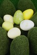 oeufs de pâques