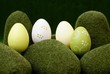 oeufs de pâques dans les collines