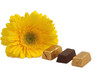 chocolat