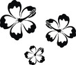 hibiscus09