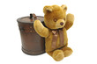 Old case with teddy bear isolated