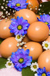 easter egg with blue flowers