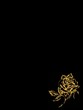 goldene Rose auf schwarzen Hintergrund