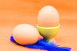 egg in green eggcup  on orange. easter