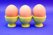 egg in green eggcup  isolated on blue. easter