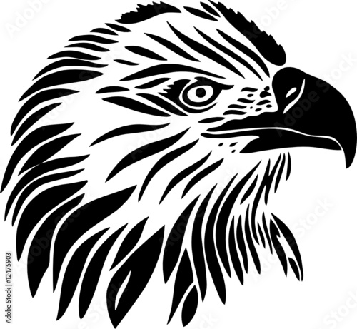 Adler Vogel Adlerkopf Tattoo Tribal