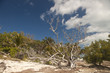 Beachside scene in Florida Keys