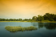 Sunseting at Paya Indah Wetlands, Malaysia
