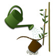Plantation