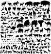 bib animals collection