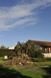 Parc dévasté