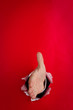 Reaching for handshake