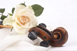 Rose und Violine