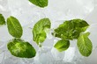 Leaves of mint in ice