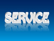 "Service" Jigsaw Puzzle reflected on glass surface