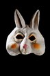 bunny rabbit funny mask bunny rabbit funny mask
