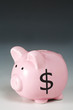 Pink piggy bank