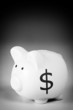 Pink piggy bank