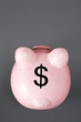 Pink piggy bank