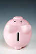 Pink piggy bank