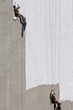 painter, decorator painter, decorator