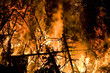 Waldbrand