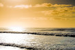 Surfer's Paradiese