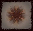 Fleur