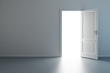 empty new room with opened door