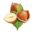 Hazelnuts 3