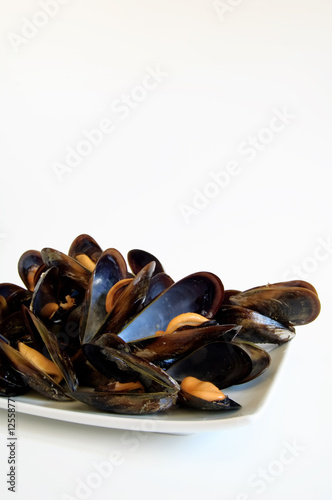 Cooked mussels
