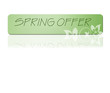spring offer button