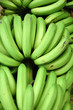 Banana Bunch