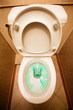 Lavatory pan with cleaner in it