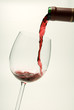 Rotwein